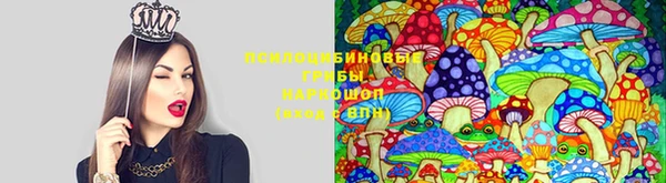 прущая мука Армянск