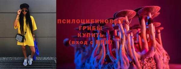 spice Арсеньев