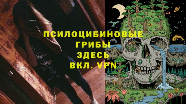 spice Арсеньев