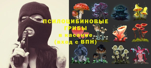 прущая мука Аркадак