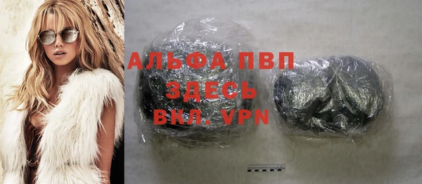 spice Арсеньев